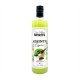 Absinth Kräuterliqueur Swiss House Spirits 70 cl CARx6